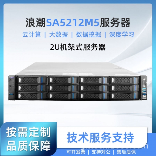 浪潮inspur英信服务器SA5212M5机架式2U存储式主机国产信创准系统
